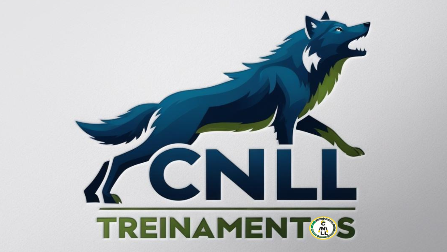 Logo CNLL PESQUISAS